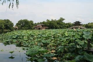 常德屈原公園在哪裏，屈原的故鄉故事